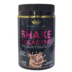 Shake Colágeno + Ácido Hialurônico + Coenzima Q10 450g Shake Colágeno + Ácido Hialurônico + Coenzima Q10 450g